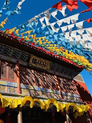 赤峰玄學(xué)協(xié)會官網(wǎng)電話號碼查詢-第1張圖片