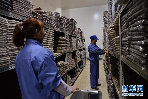 赤峰中藥水蜜丸廠家電話號碼-第1張圖片