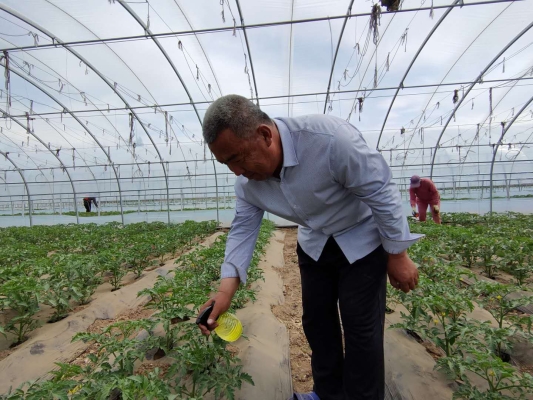 赤峰市蘿卜刀廠家電話地址-第1張圖片