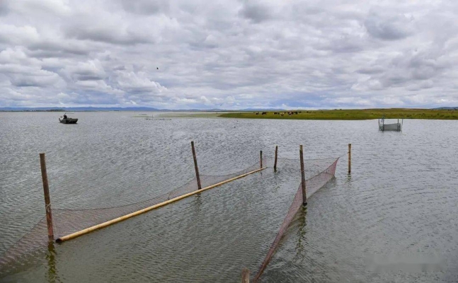 赤峰諾比寵物店電話地址查詢-第1張圖片