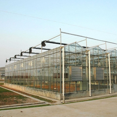 赤峰市租溫室大棚電話號碼-第1張圖片