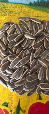 赤峰葵花籽專(zhuān)賣(mài)店電話號(hào)碼-第1張圖片