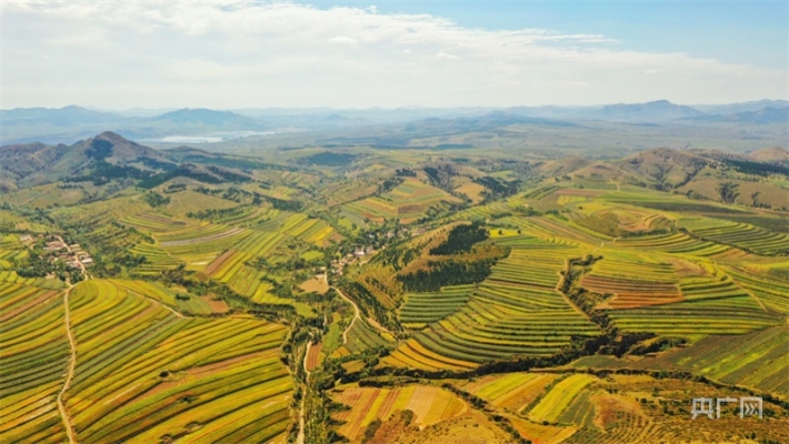 赤峰全球網(wǎng)購中心電話號(hào)碼查詢-第1張圖片