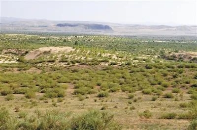 赤峰市林西拘留所電話號碼-第1張圖片