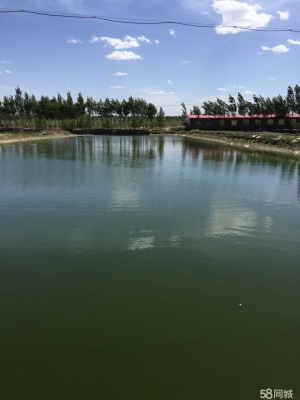 赤峰水泉玻璃廠電話號碼多少-第1張圖片