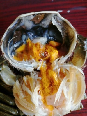 赤峰河蟹團(tuán)購(gòu)電話多少號(hào)碼-第1張圖片