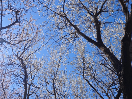 赤峰市奧林匹克公園電話號碼-第1張圖片