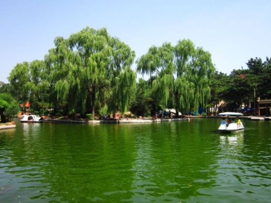 赤峰市新區(qū)植物園電話號碼-第1張圖片