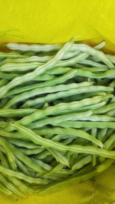 赤峰鹿茸血批發(fā)商家電話號(hào)碼-第1張圖片