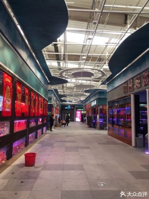 赤峰寵物水族館電話多少號-第1張圖片