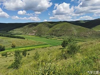 內(nèi)蒙赤峰西烏旗羊肉店電話號碼-第1張圖片