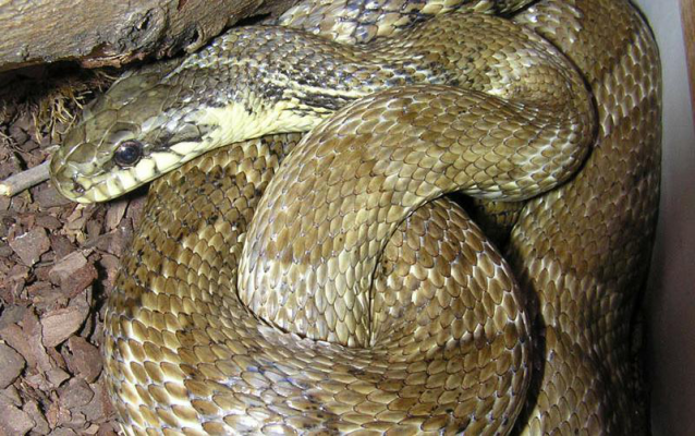 赤峰虎翼訓練營地址電話號碼-第1張圖片