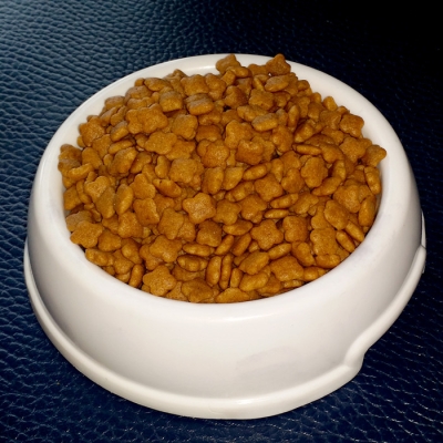 赤峰寵物狗糧批發(fā)電話號碼-第1張圖片