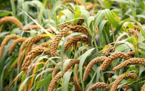 赤峰谷田理發(fā)店地址電話號(hào)碼-第1張圖片