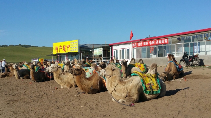 赤峰家多福超市電話號碼查詢-第1張圖片