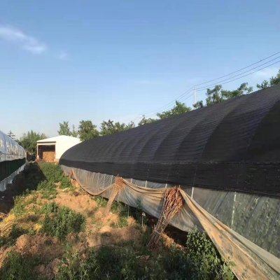 赤峰遮陽網(wǎng)廠家批發(fā)電話號碼-第1張圖片