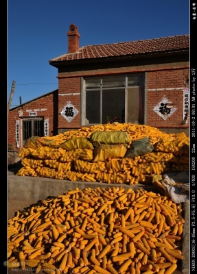 赤峰旺業(yè)甸服務(wù)區(qū)電話號碼-第1張圖片