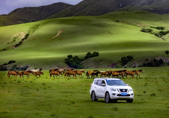 赤峰尼桑4s客服電話號(hào)碼-第1張圖片