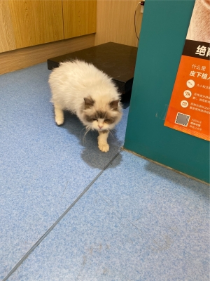 赤峰貝佳寵物醫(yī)院電話地址查詢-第1張圖片