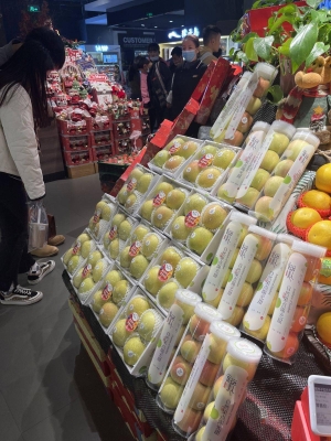 赤峰蘋果果袋公司電話號碼查詢-第1張圖片