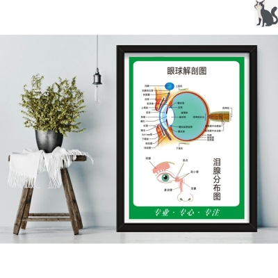 赤峰市驗光配鏡醫(yī)院電話號碼-第1張圖片