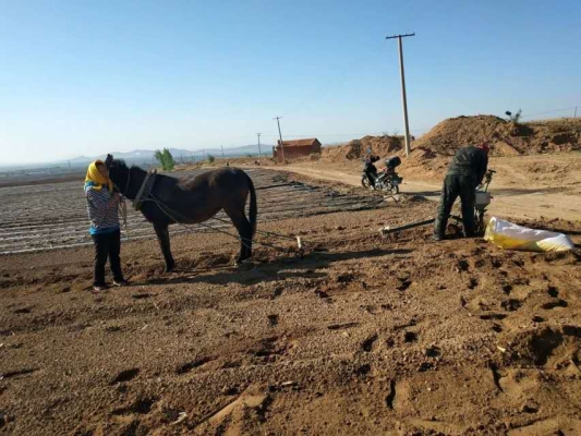 赤峰乃林鎮(zhèn)足療店電話號碼-第1張圖片