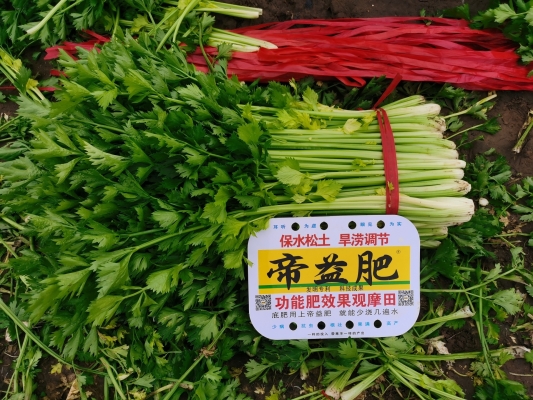 赤峰配肥機(jī)廠家電話地址查詢-第1張圖片