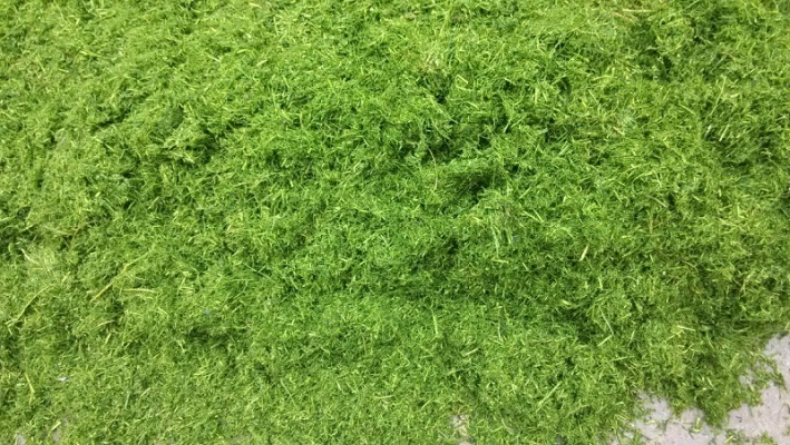 赤峰玉米柔絲加工廠電話號(hào)碼-第1張圖片