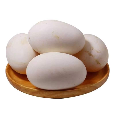 赤峰市出售鵝蛋店地址電話號(hào)碼-第1張圖片