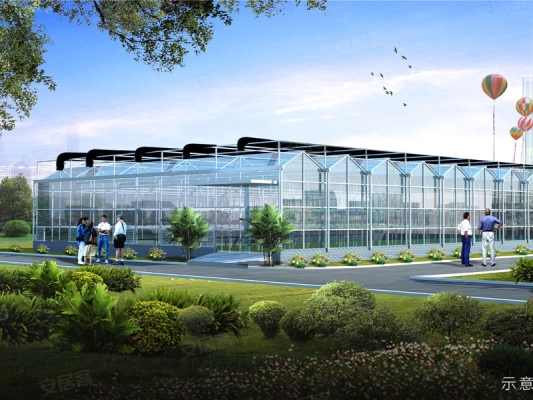 赤峰有機(jī)蔬菜農(nóng)場(chǎng)電話多少號(hào)-第1張圖片