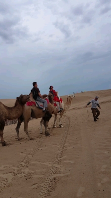 赤峰紅山萬達(dá)駱駝店電話號碼-第1張圖片