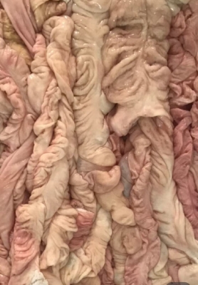 赤峰中敖屠宰場地址電話號碼-第1張圖片