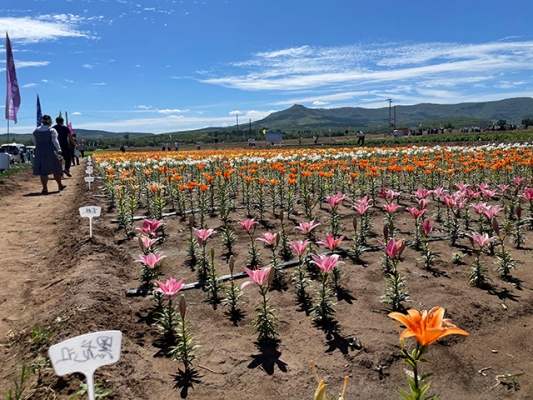 赤峰寶民藥材經(jīng)銷處電話號碼-第1張圖片