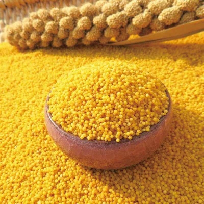 愛排吧赤峰總店電話號(hào)碼查詢-第1張圖片