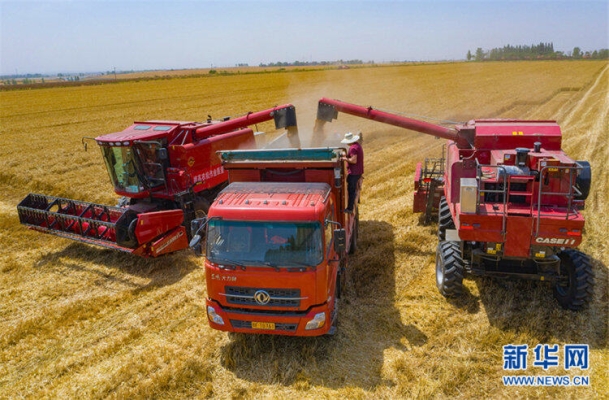 赤峰凱斯收割機銷售電話號碼-第1張圖片