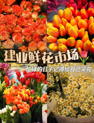 赤峰市鮮花店的電話號碼-第1張圖片