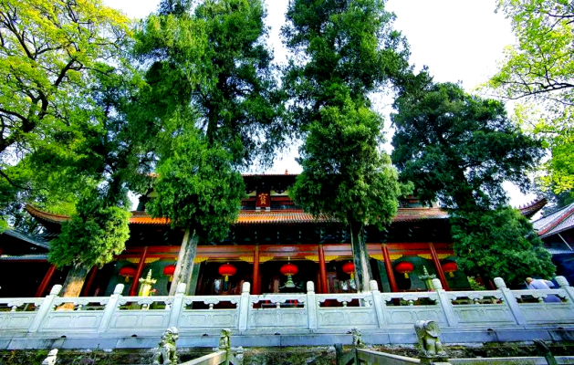 赤峰橋北寶峰禪寺的電話是多少-第1張圖片