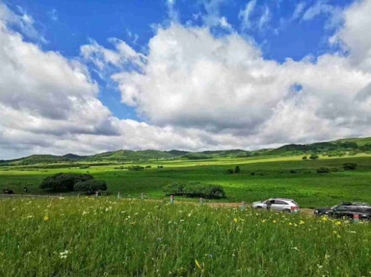 赤峰飛機(jī)場(chǎng)怎么接機(jī)的電話號(hào)碼-第1張圖片