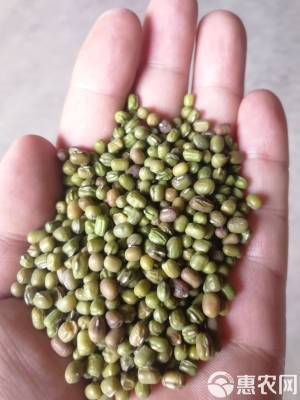 赤峰豆類(lèi)加工廠電話(huà)多少號(hào)-第1張圖片