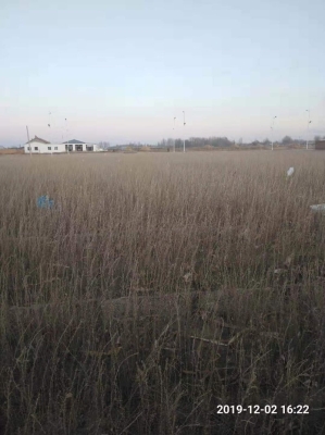 赤峰互惠養(yǎng)殖場(chǎng)電話多少號(hào)-第1張圖片