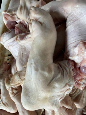 赤峰豬蹄子批發(fā)市場(chǎng)電話號(hào)碼-第1張圖片