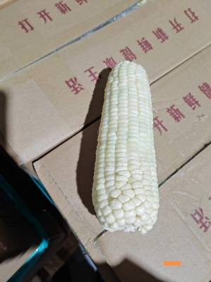 赤峰速凍玉米粒廠家電話號碼-第1張圖片