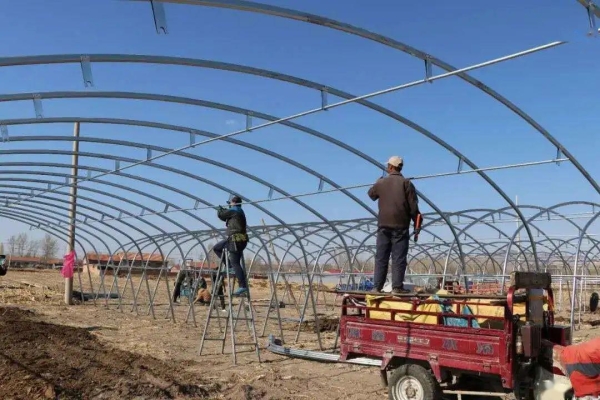 赤峰市育苗室電話是多少號(hào)-第1張圖片