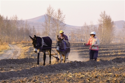 赤峰楊樹(shù)林中醫(yī)院電話號(hào)碼-第1張圖片