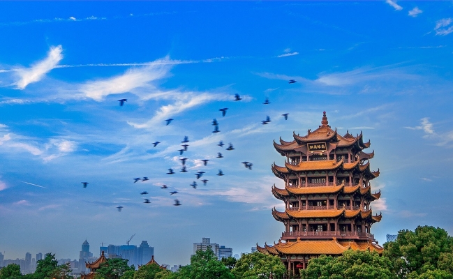 赤峰賓館鶴祥樓電話號(hào)碼多少-第1張圖片