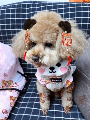 赤峰萬(wàn)悅城寵物店電話號(hào)碼-第1張圖片