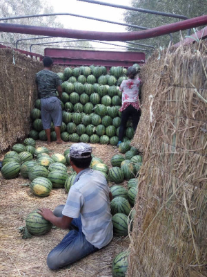 赤峰市王家店鄉(xiāng)政府電話號(hào)碼-第1張圖片