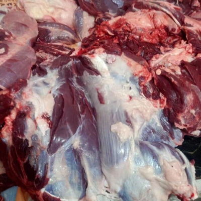 赤峰活牛運輸車隊地址電話號碼-第1張圖片