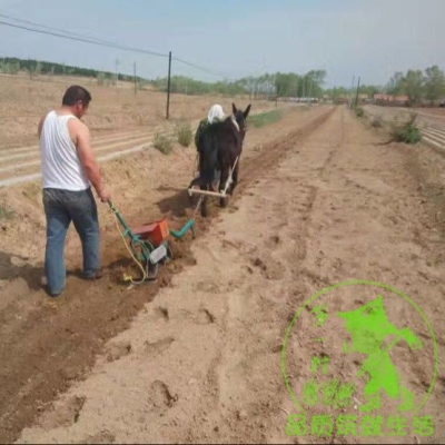 赤峰小米智能燈專賣店電話號碼-第1張圖片