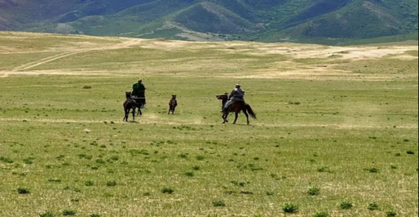 赤峰愛商面館電話號碼多少-第1張圖片